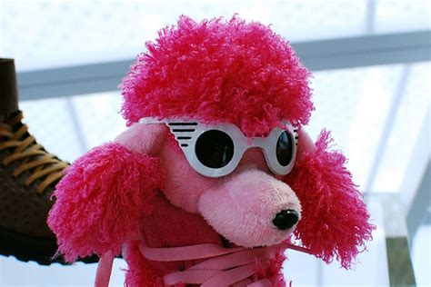 Jeremy Scott's Pink Poodle Collection .